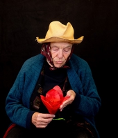 Die Blume Tulipan